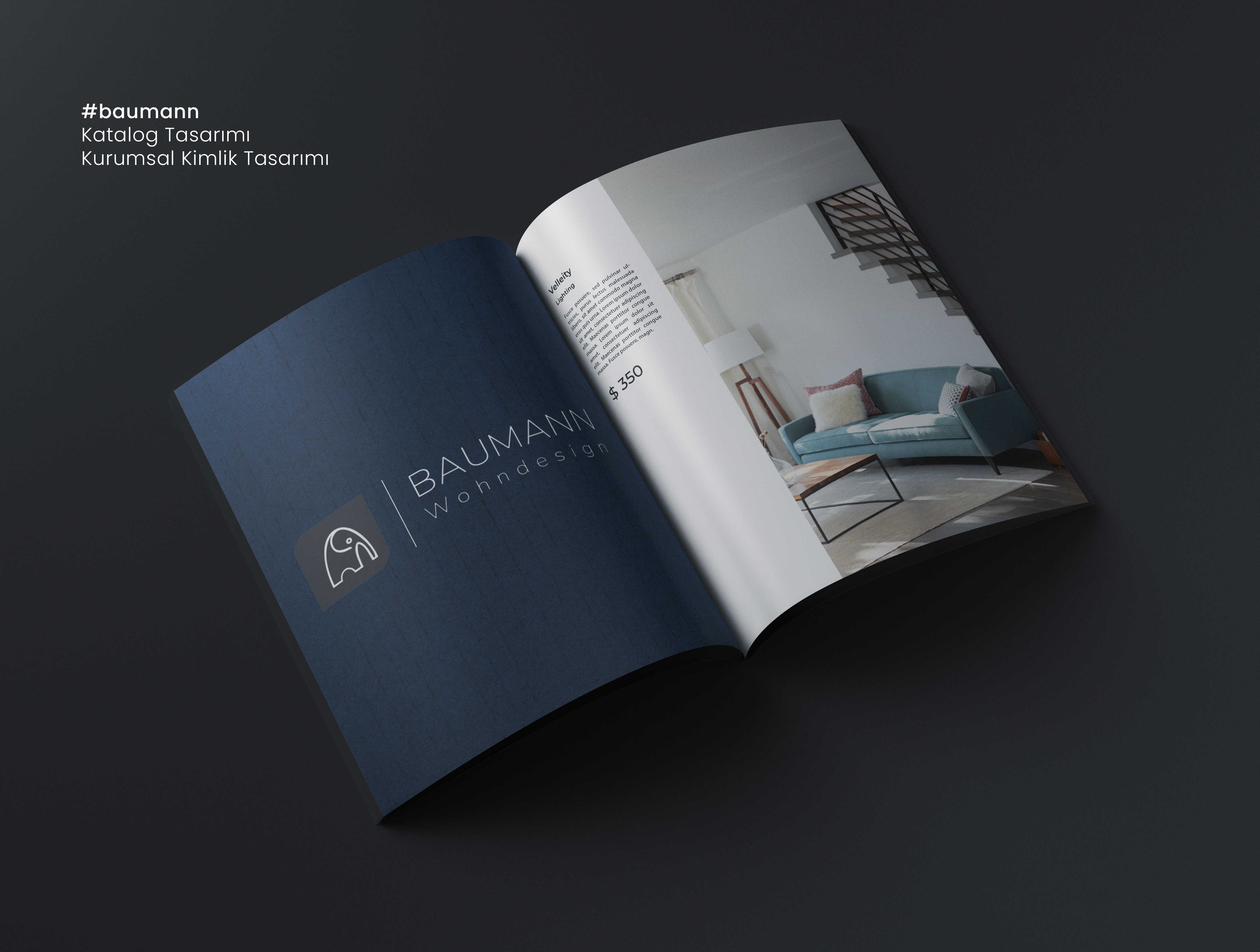 Baumann Katalog ve Kurumsal Kimlik Tasarımı